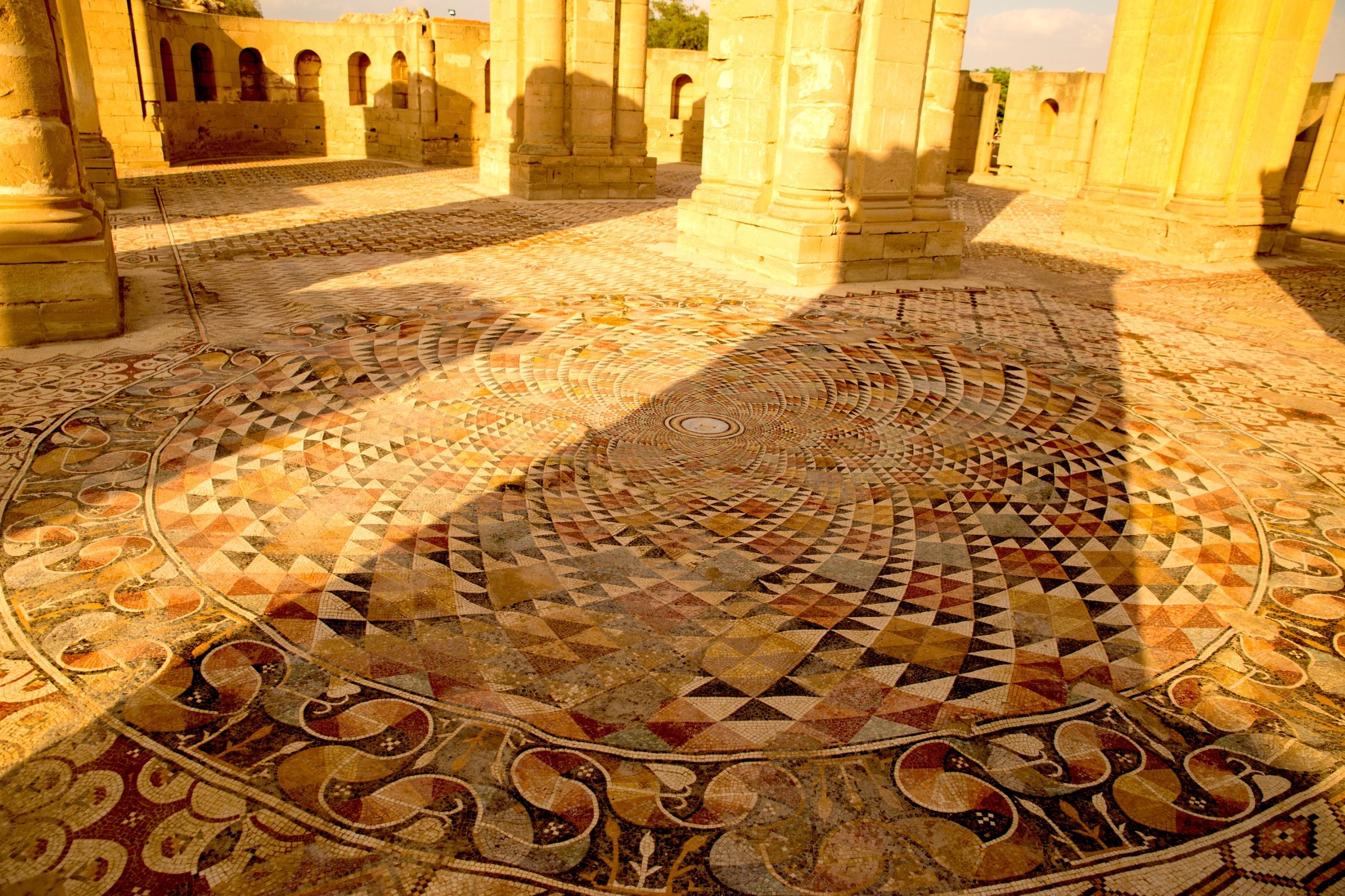 Petals of Jericho, Torus Mosaics